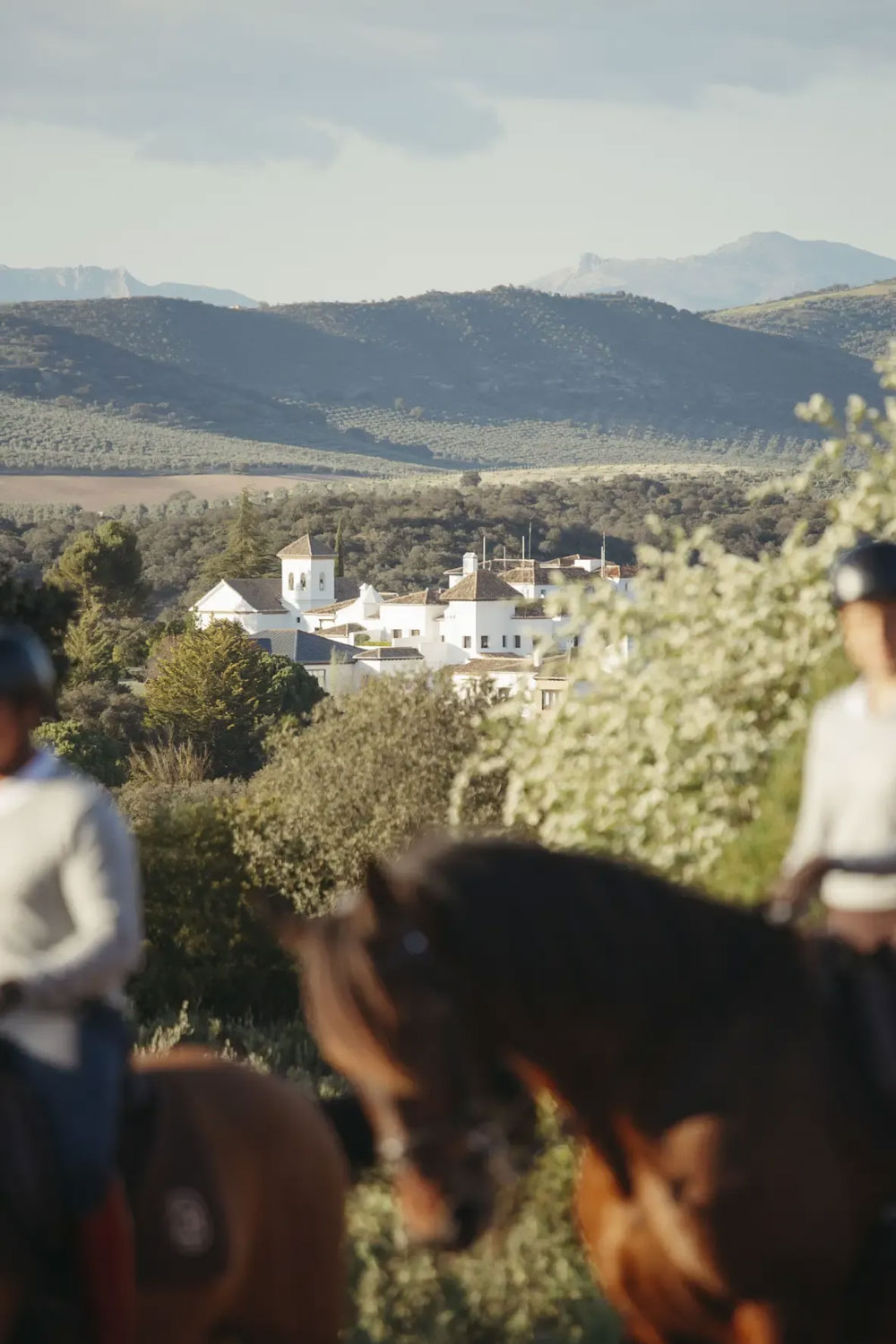 Finca la Bodadilla Archidona Andalusia Spain hotel review